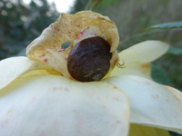 P1200280.webp