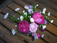 P1200432.webp