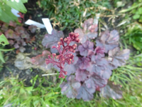 P1200033.webp