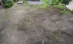 garten_8229.webp