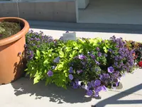IMG_3073.webp