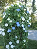 IMG_6870.webp