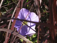IMG_6877.webp