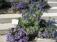 IMG_6899.webp