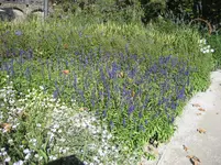 IMG_6916.webp