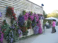 IMG_6960.webp