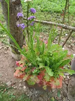 010.webp