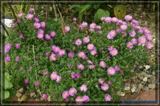 comp_DSC02274.webp