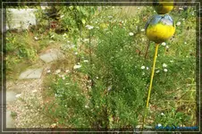 comp_DSC02279.webp