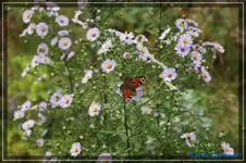 comp_DSC02280.webp