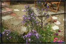 comp_DSC02281.webp