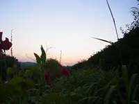 025.webp