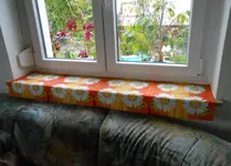 flowers_colors.webp