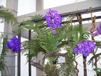 100_0087.webp