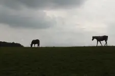DSCF7933.webp