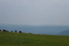 DSCF7893 (2).webp