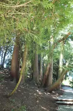 2014_0703sommer0130_bearbeitet-1.webp