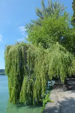 2014_0703sommer0032.webp