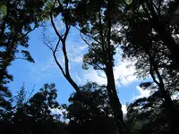 Copy of IMG_8924v.webp