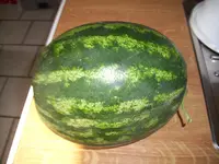 100_1597.webp 100_1597.webp