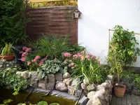 100_1601.webp 100_1601.webp