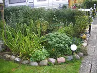 100_1602.webp 100_1602.webp