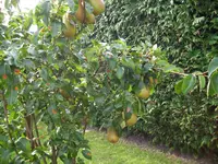 100_1604.webp 100_1604.webp