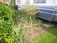 100_1607.webp 100_1607.webp