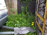 100_1608.webp 100_1608.webp