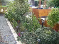 100_1609.webp 100_1609.webp