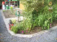 100_1610.webp 100_1610.webp