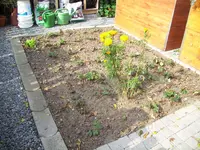 100_1611.webp 100_1611.webp