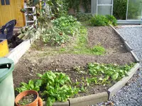 100_1612.webp 100_1612.webp