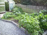 100_1613.webp 100_1613.webp