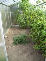 100_1614.webp 100_1614.webp