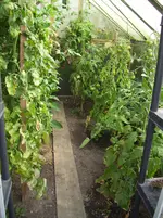 100_1615.webp 100_1615.webp