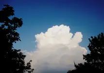 P1000757pppoooiii.webp