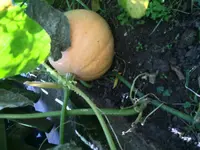 Photo-2014-09-20-11-48-14_0848.webp Photo-2014-09-20-11-48-14_0848.webp