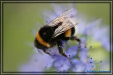 comp_DSC02282.webp
