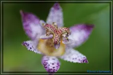 comp_DSC02292.webp