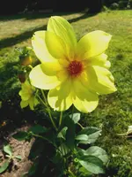 009a.webp