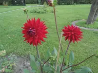 DSCN0103a.webp