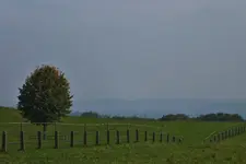DSCF7894 (2).webp