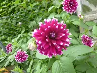 P1160350.webp