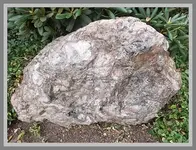 083.webp