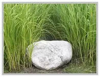 057.webp
