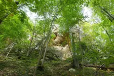 riese.webp