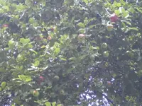 BILD3495.webp