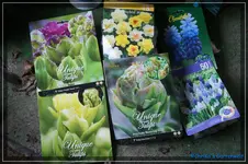 comp_DSC02298.webp