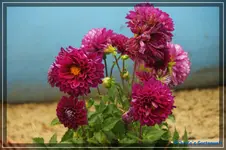 comp_DSC02300.webp